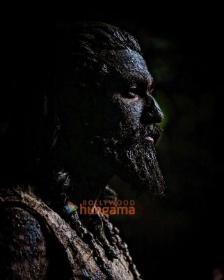 Chhaava