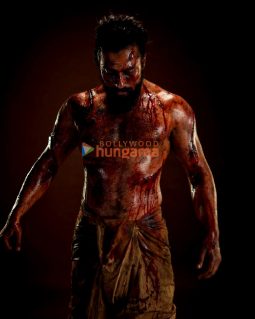 Movie Stills Of The Movie Chhaava