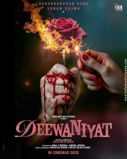 Deewaniyat