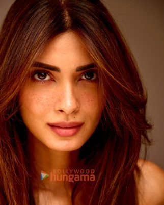 Celeb Photos Of Diana Penty