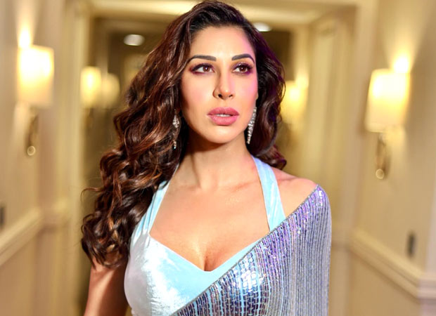 Sophie Choudry slams Swiggy after delivery rider allegedly flees hit-and-run scene