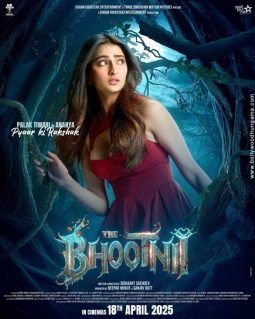 The Bhootnii poster