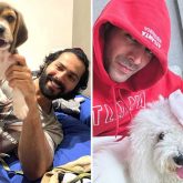 National Pet Day: From Varun Dhawan’s Joey to Kartik Aaryan’s Katori, Bollywood’s cutest throwback pet moments