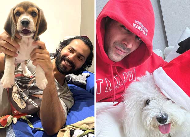 National Pet Day: From Varun Dhawan’s Joey to Kartik Aaryan’s Katori, Bollywood’s cutest throwback pet moments