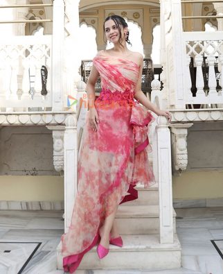 Celeb Photos Of Nitanshi Goel