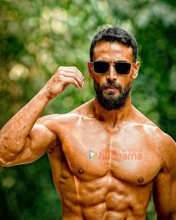 Celeb Photos Of Tiger Shroff