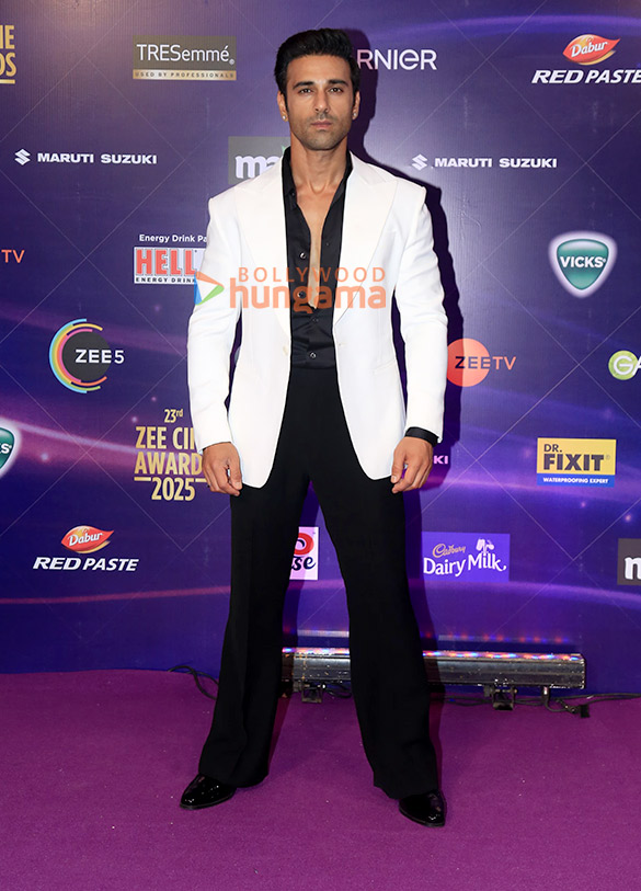 photos vikrant massey aparshakti khurana and others grace the zee cine awards 2025 52