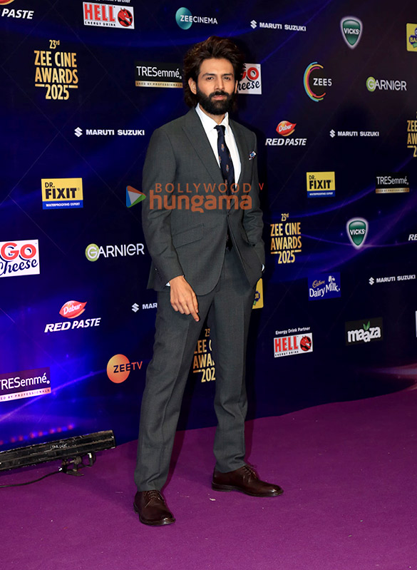 photos vikrant massey aparshakti khurana and others grace the zee cine awards 2025 54