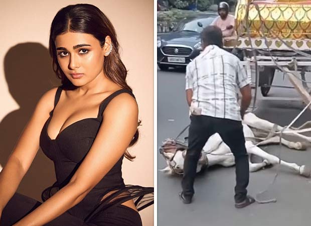 Shalini Pandey REACTS to viral video of dehydrated horse in Kolkata: "My heart is broken into a million pieces"