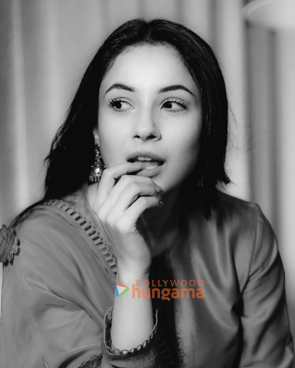shehnaaz gill 4 53