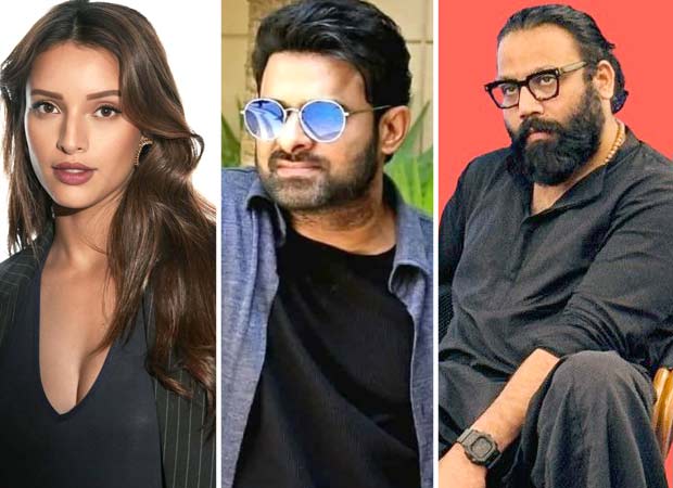 Triptii Dimri to play sizzling physician reverse Prabhas in Spirit; Sandeep Reddy Vanga to craft scorching and daring romance like by no means earlier than : Bollywood Information – Bollywood Hungama