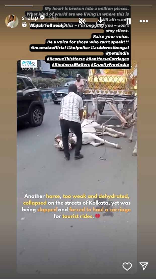 Shalini Pandey REACTS to viral video of dehydrated horse in Kolkata: "My heart is broken into a million pieces"