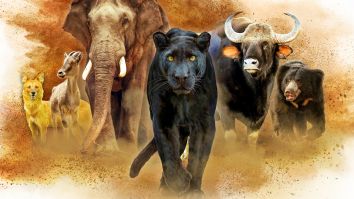 Nilgiris: A Shared Wilderness (English)