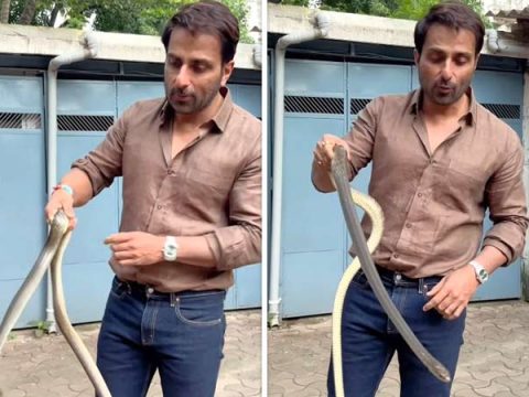 Sonu Sood rescues snake in Mumbai society, warns public against taking risks