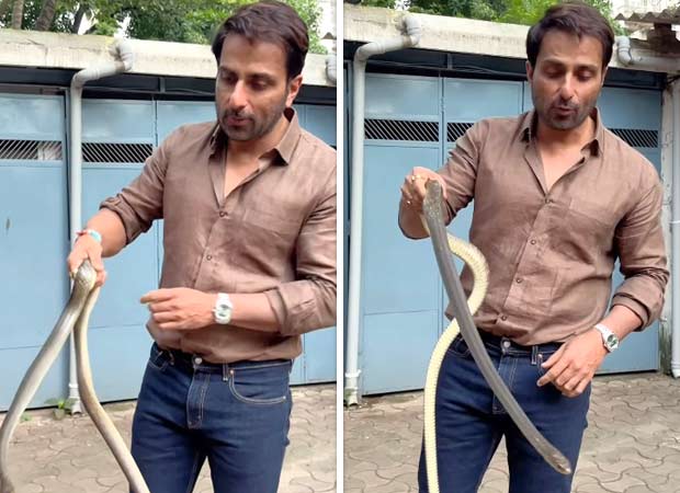 सोनू सूद मुंबई सोसाइटी में सांप को बचाता है, जोखिम लेने के खिलाफ जनता को चेतावनी देता है