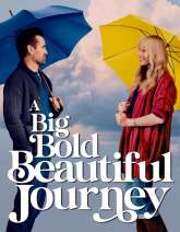 A Big Bold Beautiful Journey (English) Movie