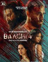 Baaghi 4 Movie