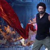 Ivy Entertainment drags co-producer of Prabhas-starrer The Raja Saab to Delhi High Court over alleged contractual breaches: Report