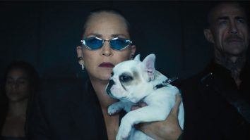 Sharon Stone unleashes a new side in Nobody 2; brings a bold, mystique-filled character to the big screen Sharon Stone unleashes a new side in Nobody 2; brings a bold, mystique-filled character to the big screen
