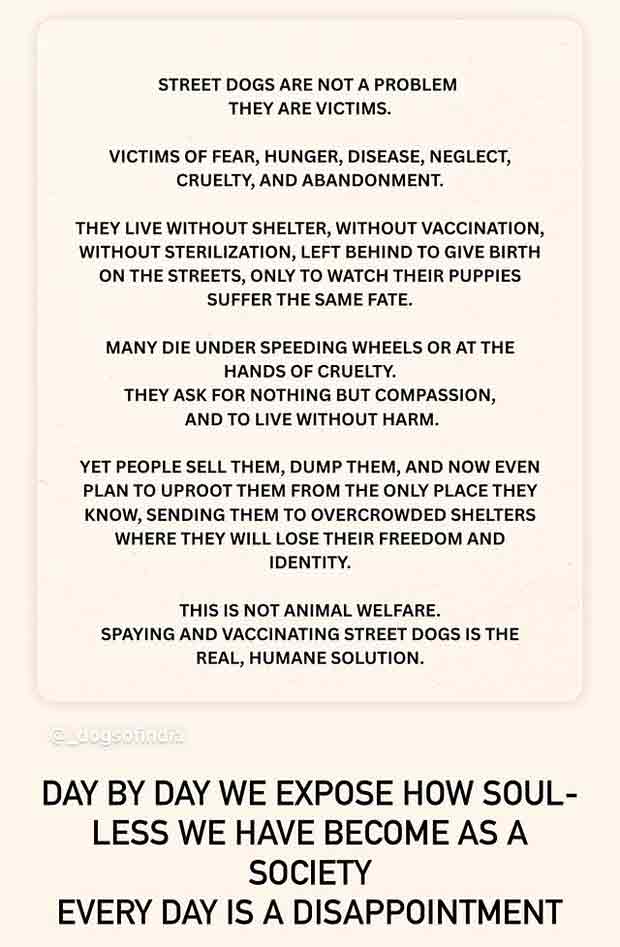 Bollywood star joins chorus of voices condemning harsh measures against street dogs while raising concerns over pressing civic issues ignored by authorities.