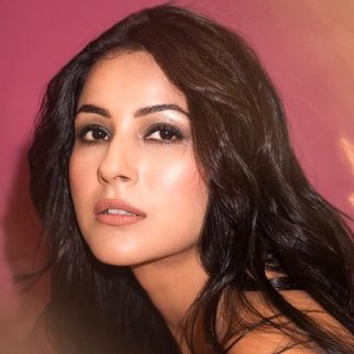 Shehnaaz Gill shares health update from hospital bed: “Drip laga hua hai, par stress hai… moti lag rahi hoon”