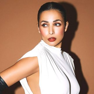 Malaika Arora drops no-equipment ab routine to beat belly fat; watch