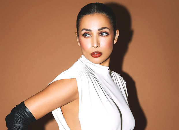 Malaika Arora drops no-equipment ab routine to beat belly fat; watch