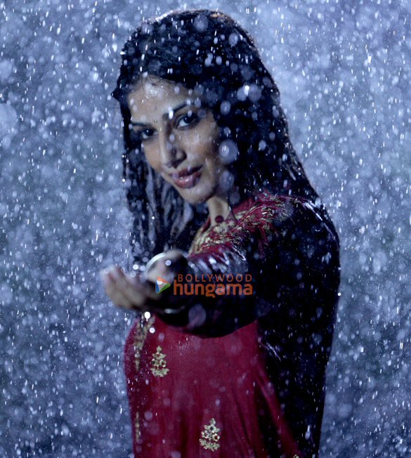 baaghi 4 1 8