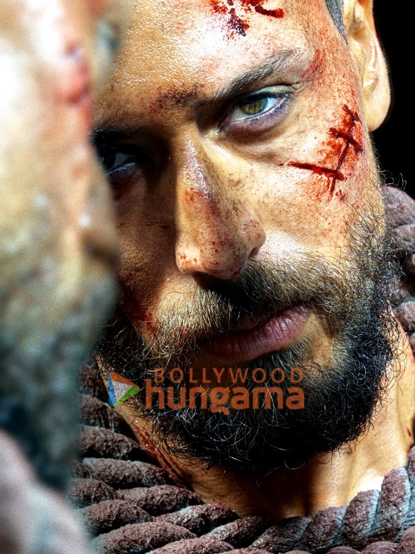 baaghi 4 1 7