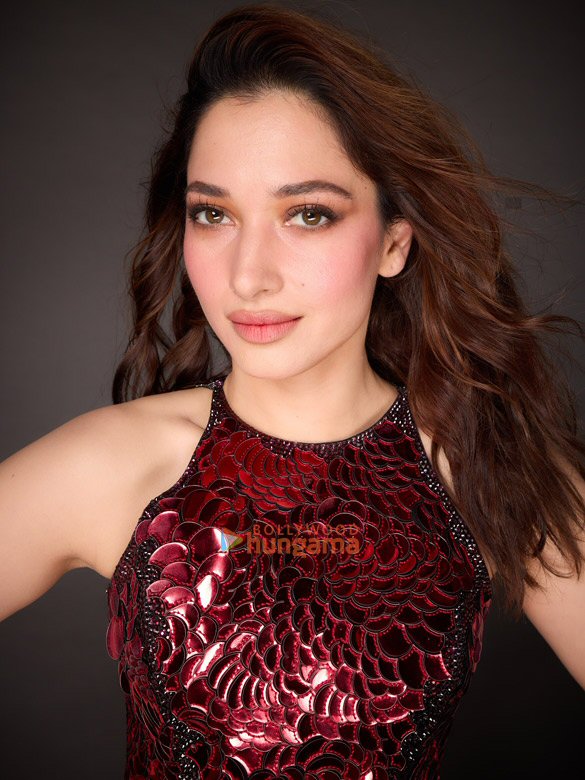 tamannaah bhatia 2 169