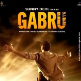 Gabru