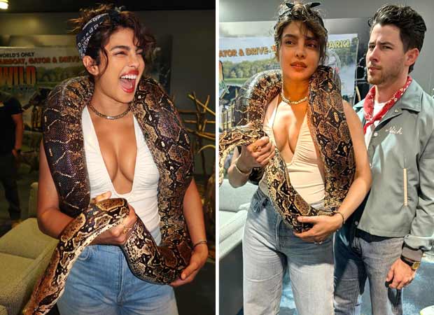 Priyanka Chopra Jonas wraps a giant python around her neck; shares ‘sssspecial’ post celebrating her bond with snakes