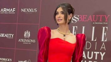 Classic. Chic. Captivating! Diana Penty