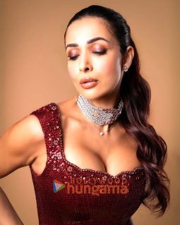 Celeb Photos Of Malaika Arora