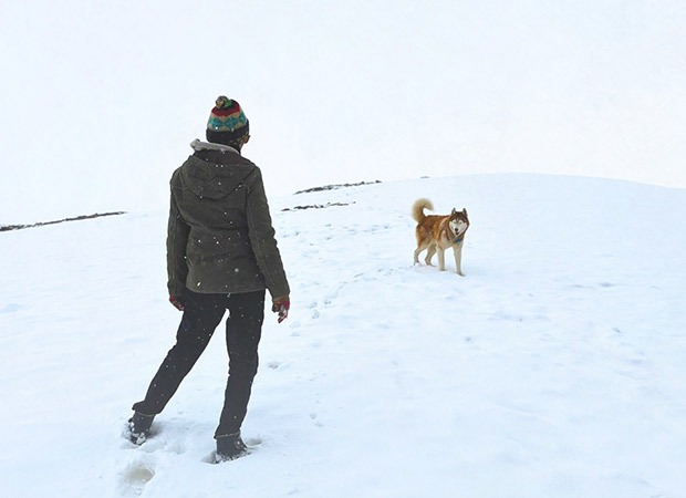 Oslo: A Tail Of Promise to make it's IFFI 2025 debut, a touching tribute to the power of animal companionship