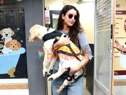 Photos: Triptii Dimri spotted outside pet clinic in Bandra
