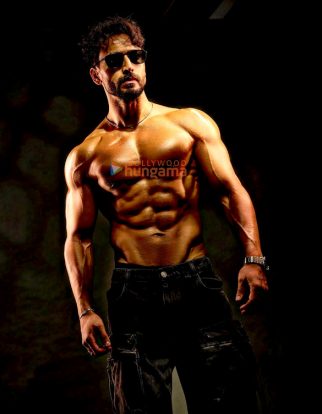 Celeb Photos Of Tiger Shroff