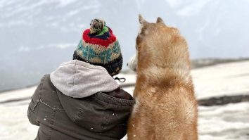 After winning hearts at IFFI 2025, Oslo: A Tail of Promise’s emotional teaser unveiled; watch