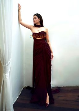 Celeb Photos Of Diana Penty