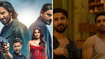 Netflix India’s 2025 Hall of Fame: 12 shows and films that dominated screens, chats, and culture