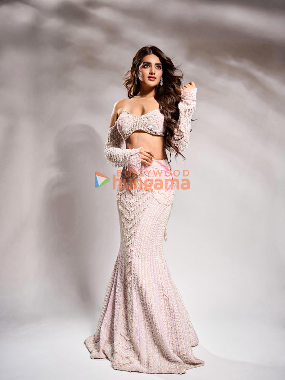 nidhhi agerwal 2 29