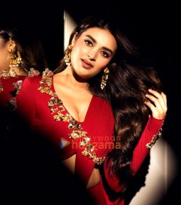 Nidhhi Agerwal