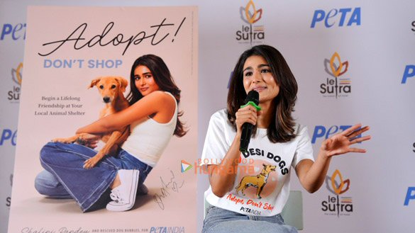 photos shalini pandey snapped at peta indias pro adoption campaign 4