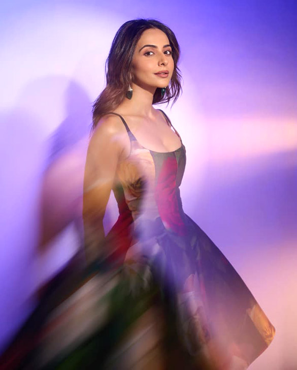 rakul preet singh 4 316 2