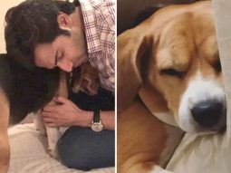 Varun Dhawan mourns loss of pet dog Angel, calls her “another angel in heaven”