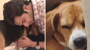 Varun Dhawan mourns loss of pet dog Angel, calls her “another angel in heaven”