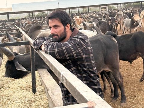 Sonu Sood donates Rs 22 lakhs to cow shelter in Gujarat