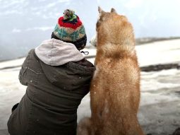 John Abraham calls Oslo: A Tail of Promise a reminder that “animals are not here to serve us” at its Pune premiere
