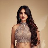 Nabha Natesh