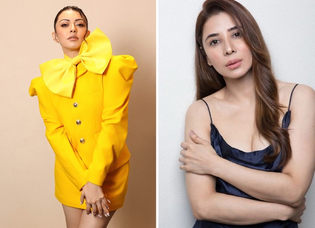 Hansika Motwani files Rs 2 crores defamation suit against sister-in-law Muskan Nancy James amid legal battle